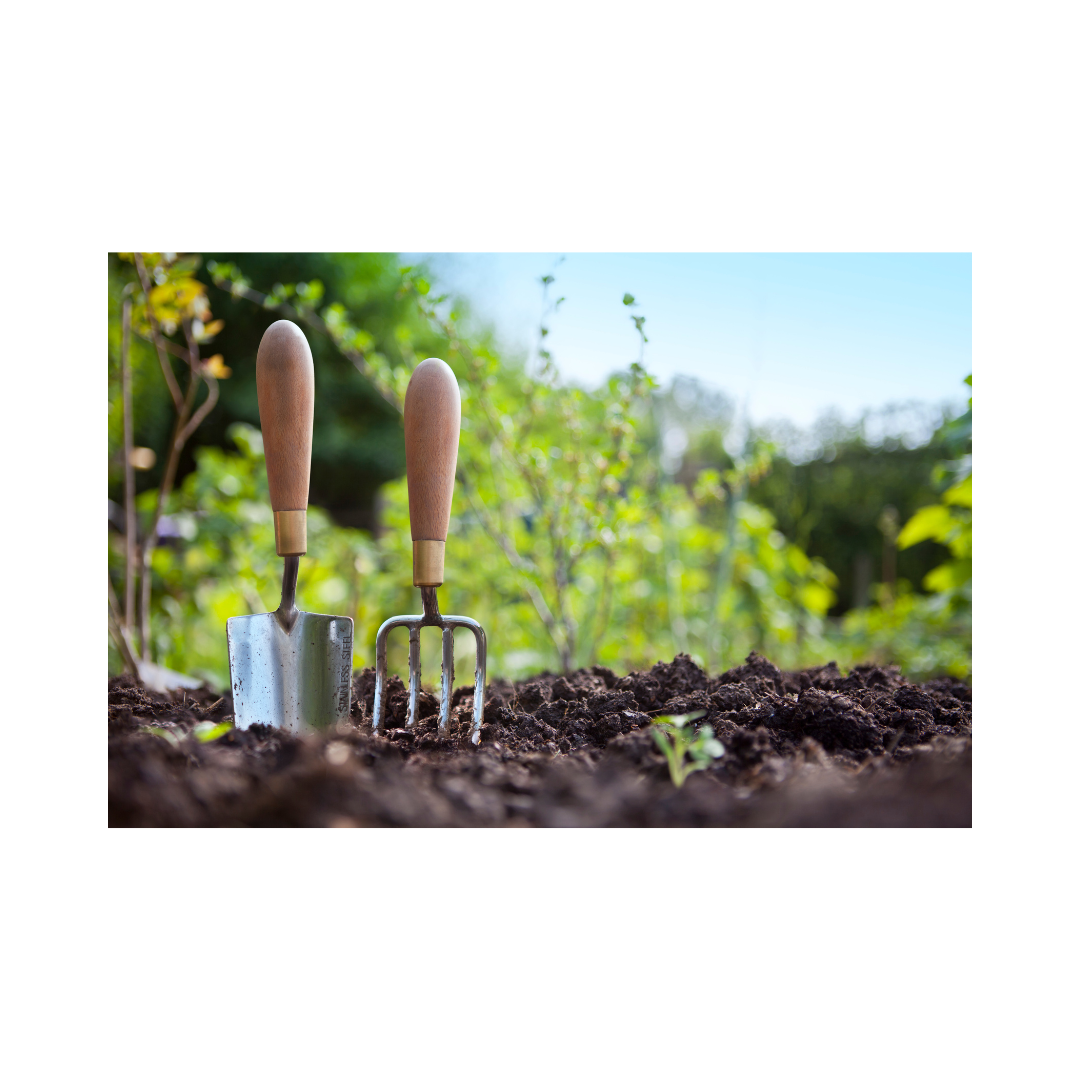 Sustainable Yard Maintenance And Gardening Tips, May 12, 2020