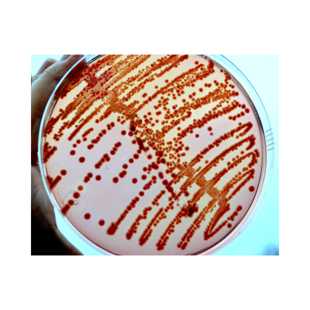Tips To Boost And Maintain Your Skin's Natural Microbiome, March 30, 2020